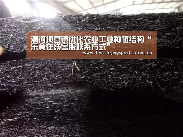 清河坝营镇优化农业工业种植结构“乐竟在线客服联系方式”(图1) 乐竟体育app