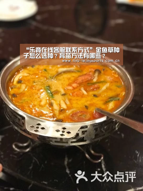 “乐竟在线客服联系方式”金鱼草种子怎么选种?育苗方法有哪些?(图1) 乐竟官网注册