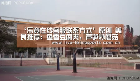 乐竟体育app