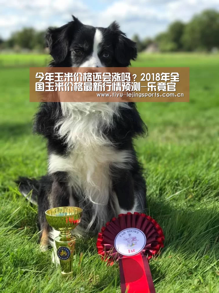 乐竟体育app
