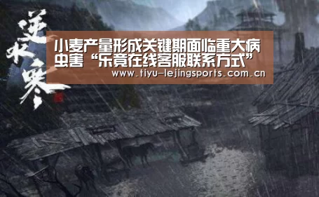 小麦产量形成关键期面临重大病虫害“乐竟在线客服联系方式”(图2) 乐竟在线客服联系方式