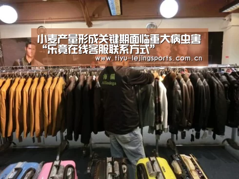 小麦产量形成关键期面临重大病虫害“乐竟在
