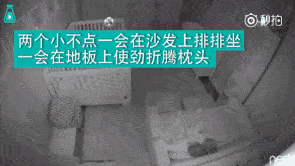 乐竟官网注册